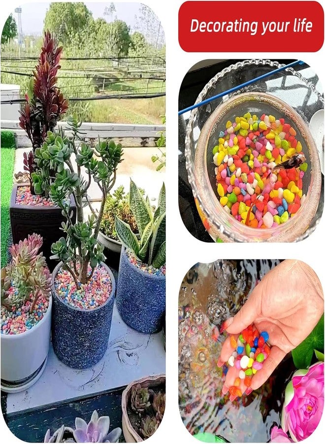 إيميلي بيتس صخور زينة من إميلي بيتس، حصى صغيرة زرقاء اللون لأحواض السمك، صخور خشنة مناسبة لنباتات البونساي والصبار العصاري، تربة سطحية، نباتات، أحواض أسماك، تنسيق الحدائق، ديكور منزلي (1.95 كجم) - Image 2